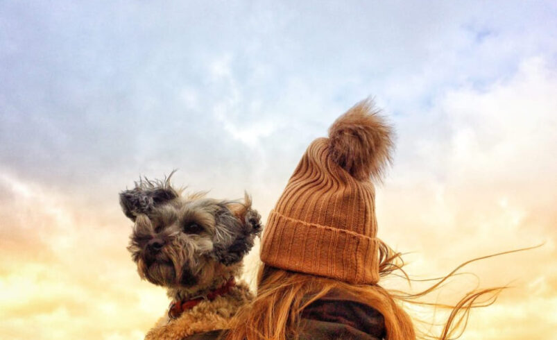 Gobierno Regional de La Libertad cerrará 2025 con 346 obras públicas