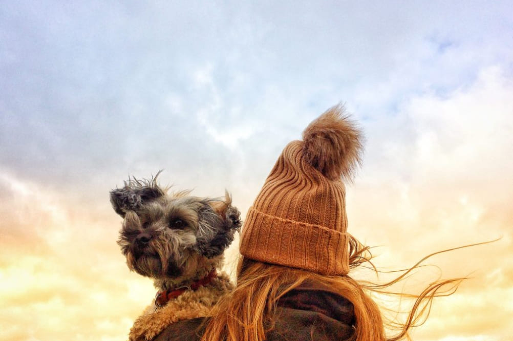 Gobierno Regional de La Libertad cerrará 2025 con 346 obras públicas